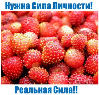 Родогор Альфа-Сила