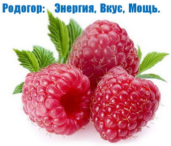 Родогор Альфа-Сила