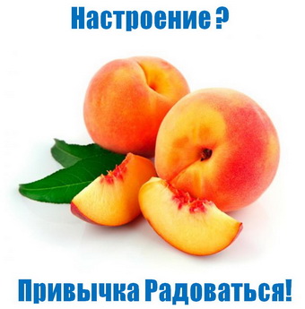 Родогор Альфа-Сила