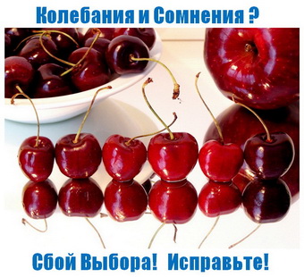 Родогор Альфа-Сила