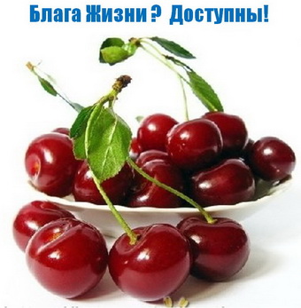 Родогор Альфа-Сила