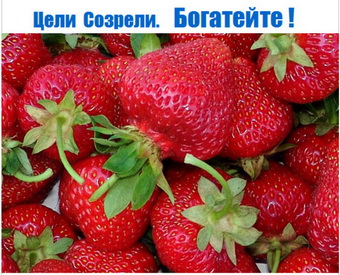 Родогор Альфа-Сила